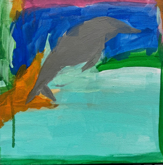 Dolphin Daydream
